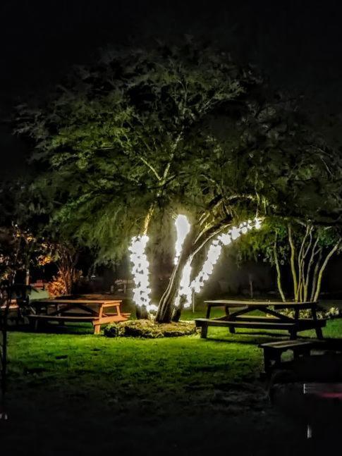 Waring Top Of The Hill Rv Resort & Cabins מראה חיצוני תמונה